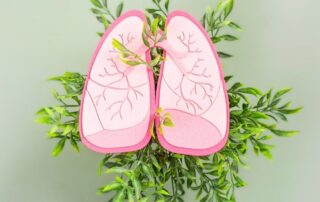 Artistic representation of pink human lungs made from paper, surrounded by green leafy branches on a light green background, symbolising lung health and fresh air.