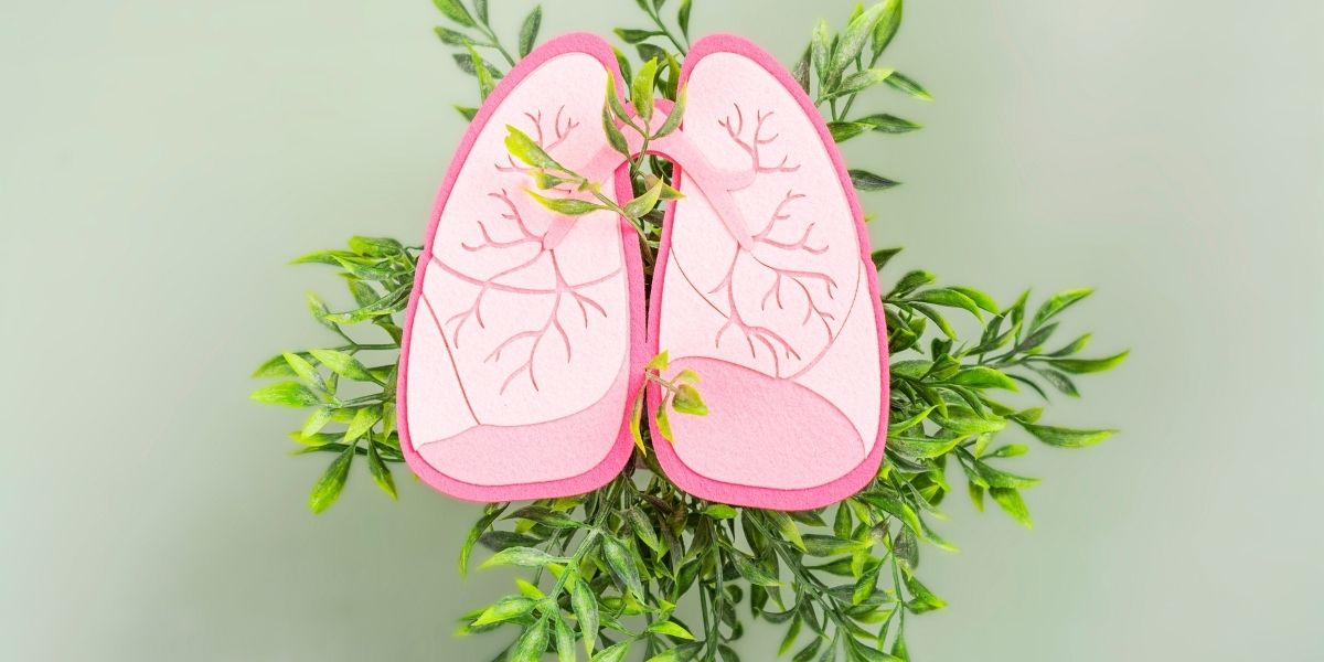 Artistic representation of pink human lungs made from paper, surrounded by green leafy branches on a light green background, symbolising lung health and fresh air.